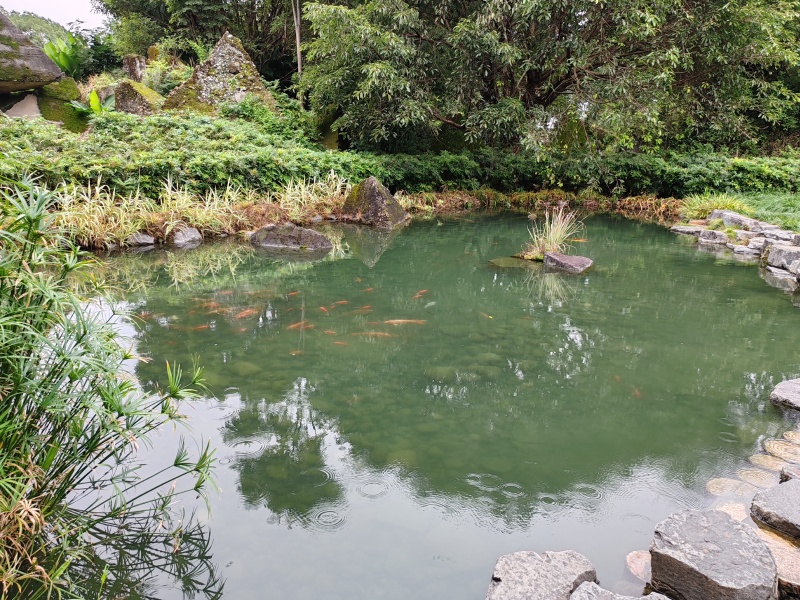 IMG_20231027_115206_副本