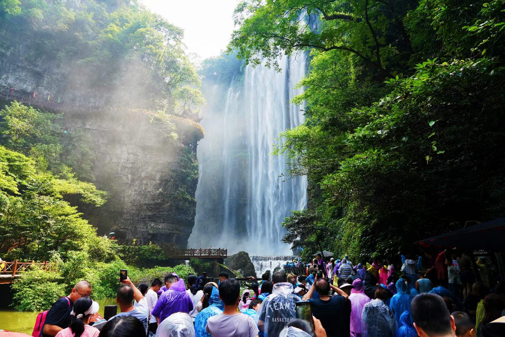 微信圖片_20240418111038