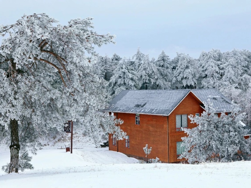 微信圖片_20241217152433