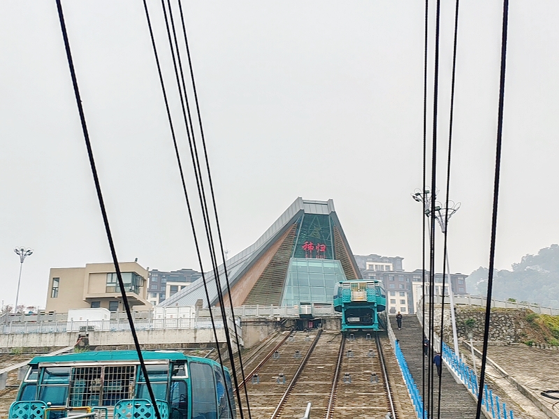 IMG_20241113_091531_副本