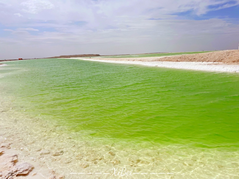 察爾汗鹽湖9
