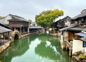 從宜昌到華東七市（揚州+南京+蘇州+杭州+上海+常州）的全景6日游/旅游團/暢玩華東七市價格【潯愛江南·全陪班】