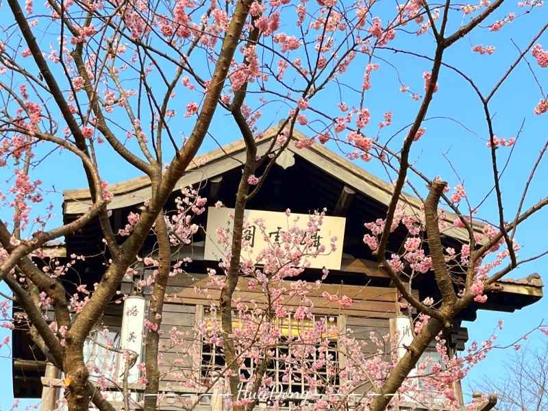 黿頭渚 (2)_副本