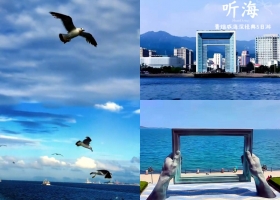 宜昌到山東（青島·威海·煙臺）旅游的景點推薦/5日游花費多少/游玩攻略【聽海】深度休閑5日游