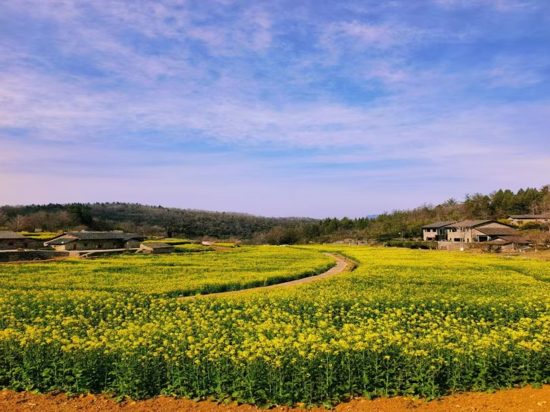 微信圖片_20250325090718_副本