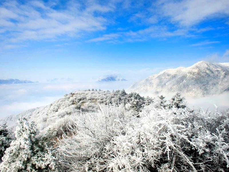 微信圖片_20250328085150_副本