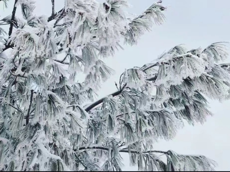 微信圖片_20250328085156_副本