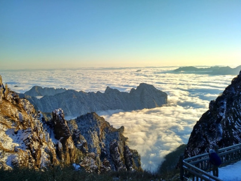 微信圖片_20250328085221_副本