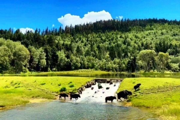 春暖花開正是來云南的好季節！云南旅游景點大全，4-5月份來云南旅游的寶子，不要錯過啦