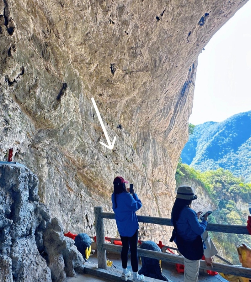 微信圖片_20250408094716_副本