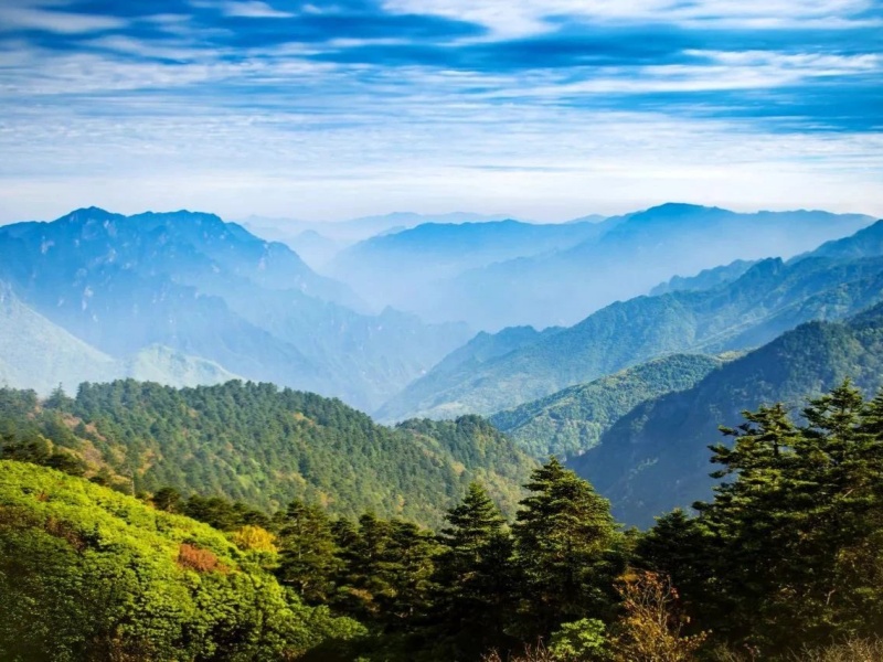 微信圖片_20250420092341_副本