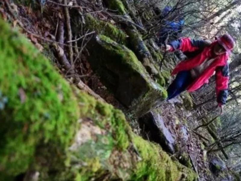 微信圖片_20250427093846_副本