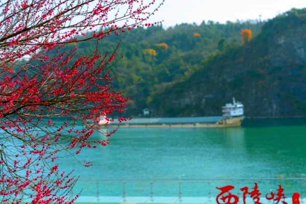 兩壩一峽臻享全域游是船去車回好還是車去船回好?