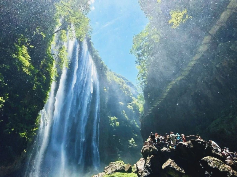 微信圖片_20250512092050_副本(1)