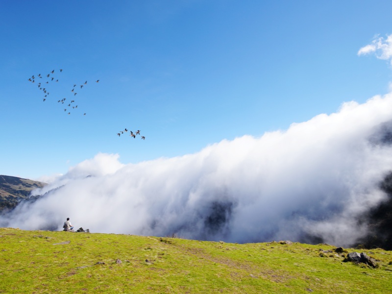 云涌神農頂（調整大圖）_副本