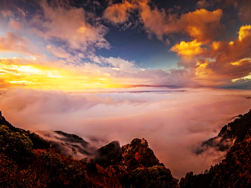 云蒸霞蔚-神農谷-張永林-13302246828_副本