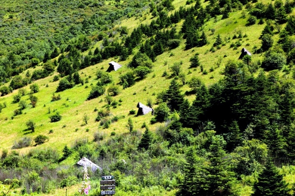 神農架三日游旅游攻略，神農架三日游報團價格