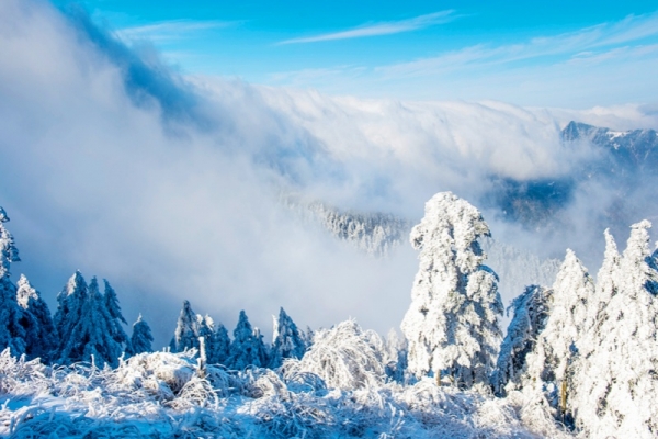 神農架三日游多少錢，預訂電話是多少