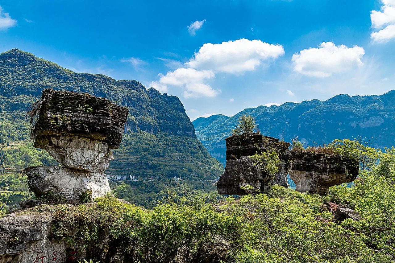 微信圖片_20250526090803