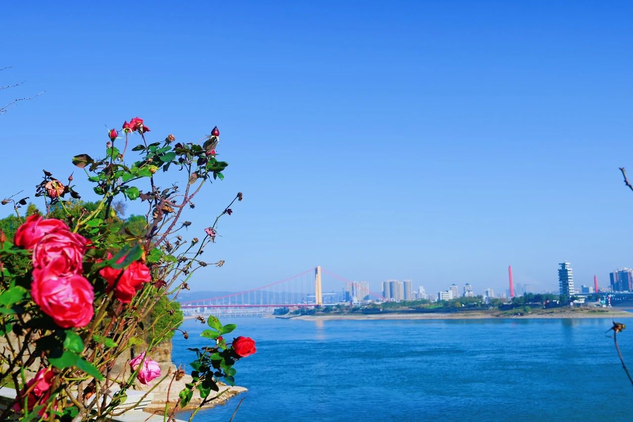 微信圖片_20250609095217