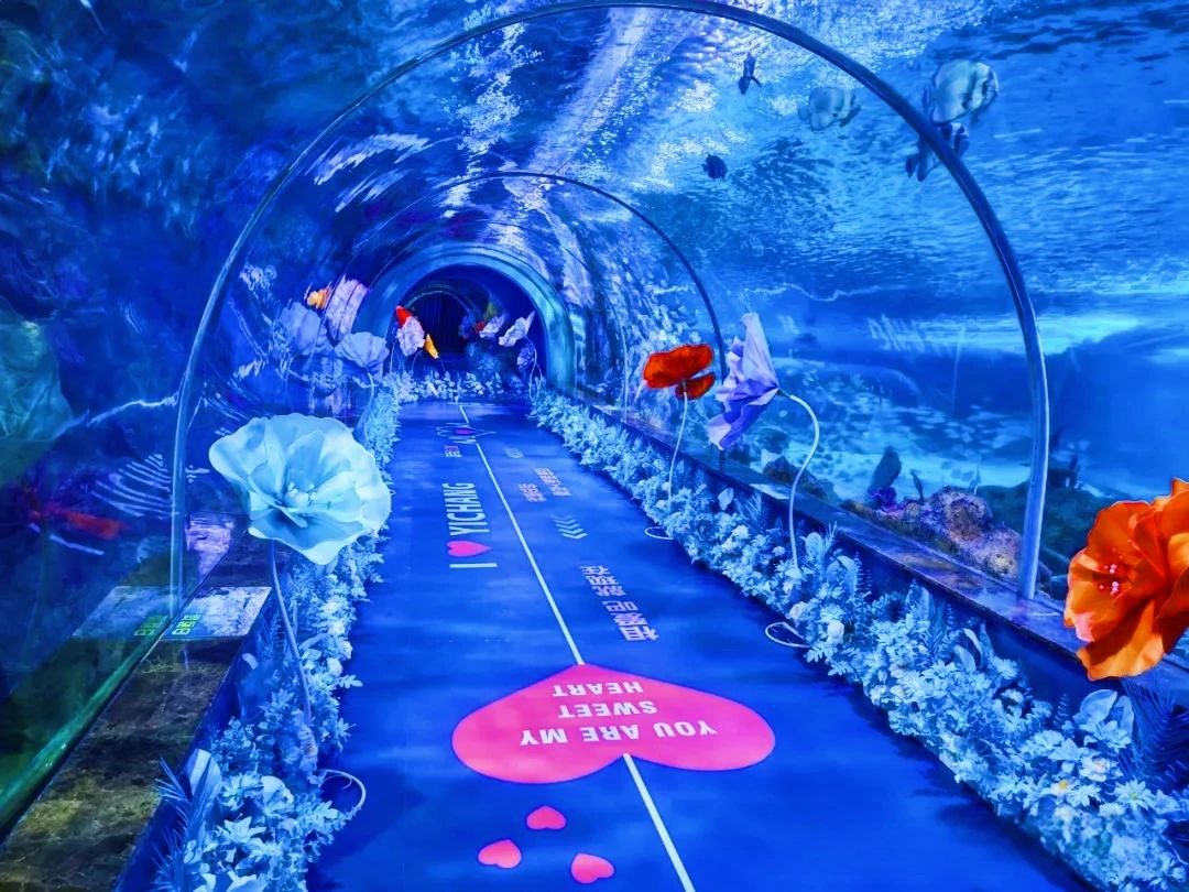 微信圖片_20250609095355