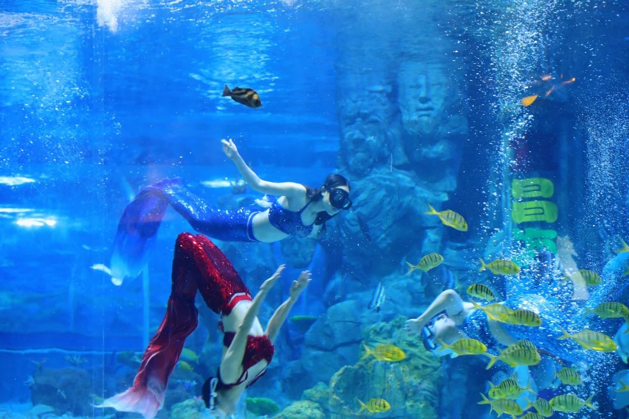 微信圖片_20250609095416