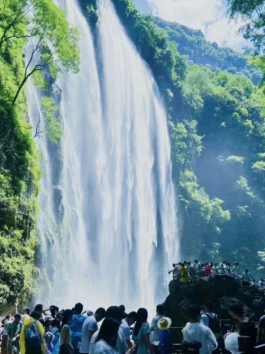 微信圖片_20250709090348