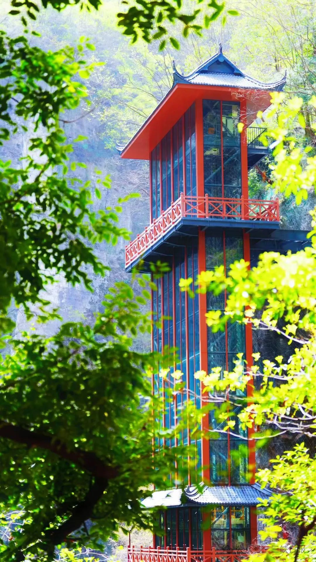 微信圖片_20250709090540