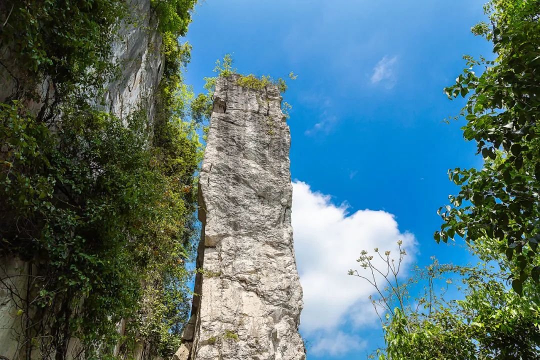 微信圖片_20220225154214