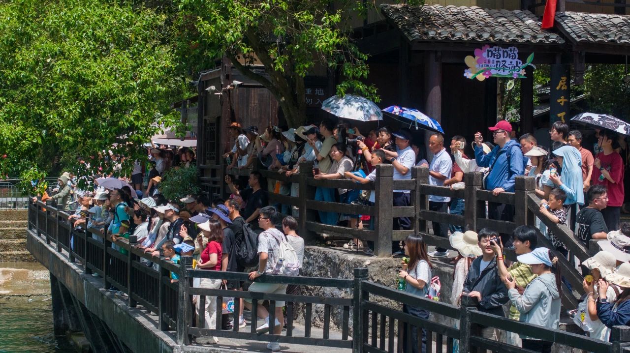 微信圖片_2025-07-23_084612_718