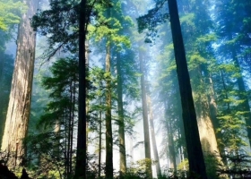 【強推】神農(nóng)架3日游，跟團價格大曝光，行程規(guī)劃有哪些