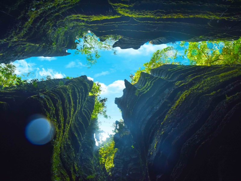 一線天槐攝_副本