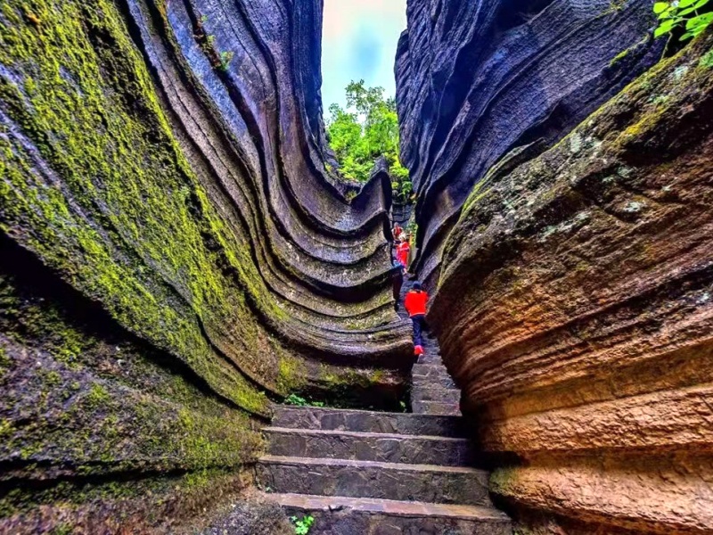 微信圖片_20220607154418_副本