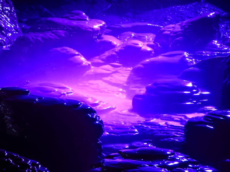 IMG_9864( 攝影：蔡濤 2018年4月25日攝)(1)_副本