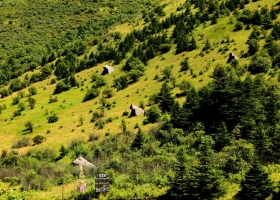 神農架三天兩夜的精華景點有哪些？闖進現實版綠野仙蹤神農架，不踩雷，輕松避坑