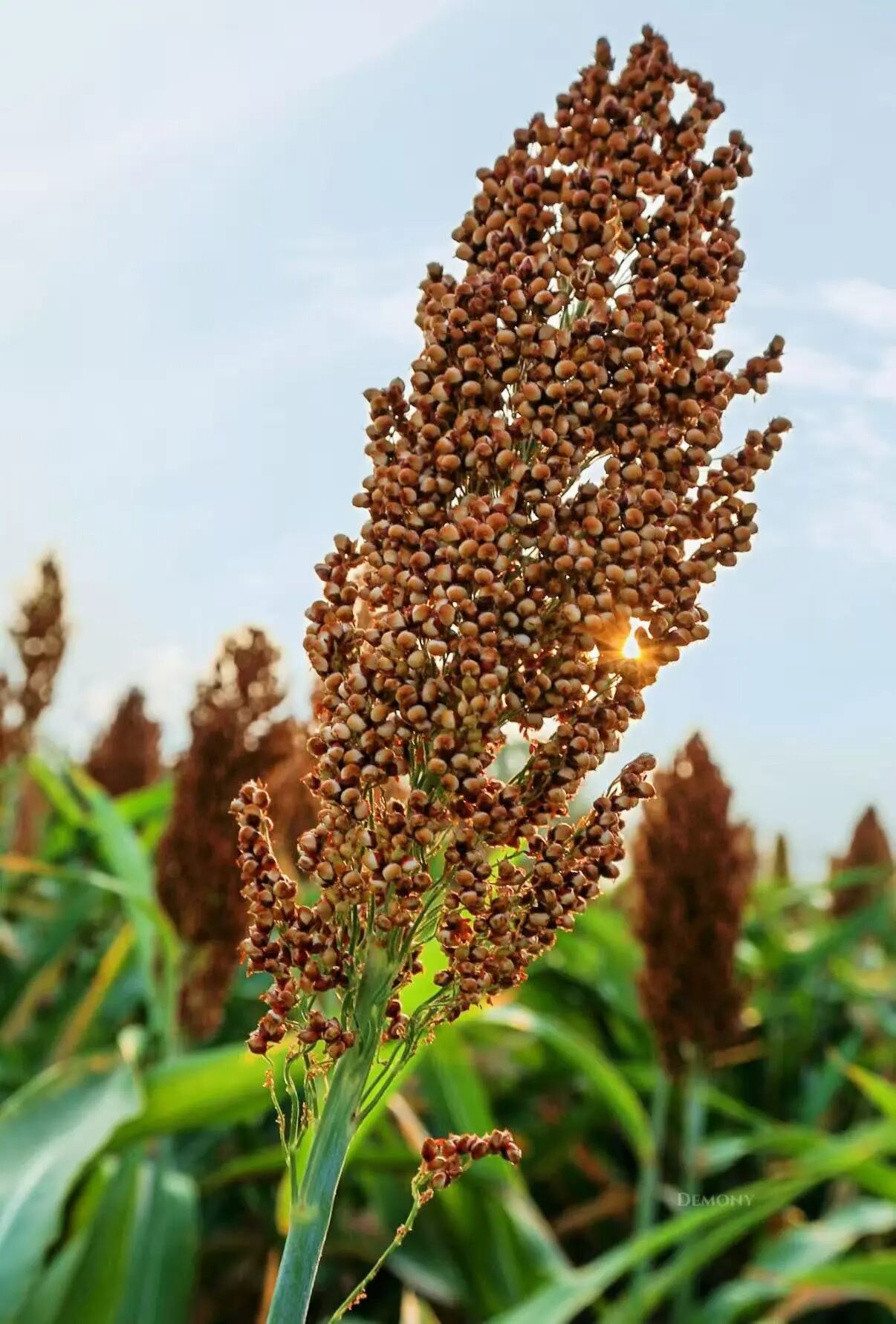 微信圖片_2025-09-18_090218_775