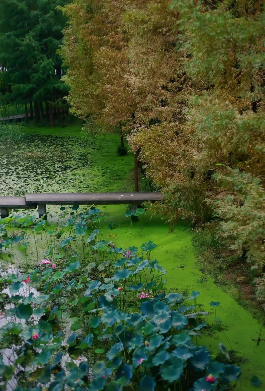 微信圖片_2025-10-02_085510_232