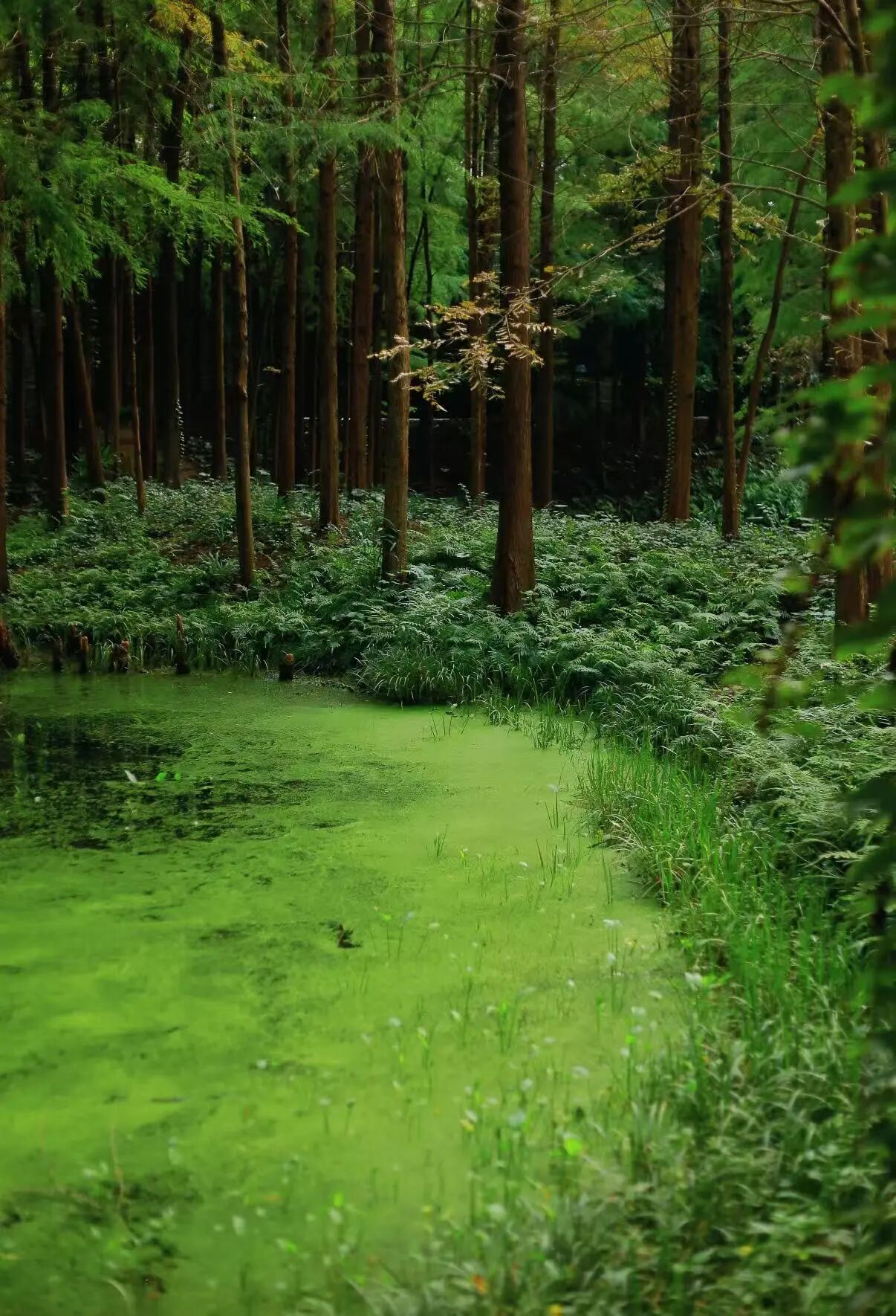 微信圖片_2025-10-02_085748_470