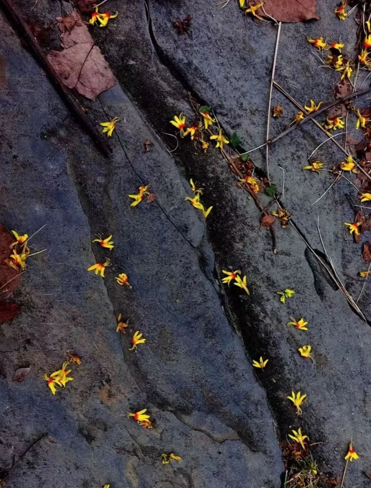 微信圖片_2025-10-02_090135_260