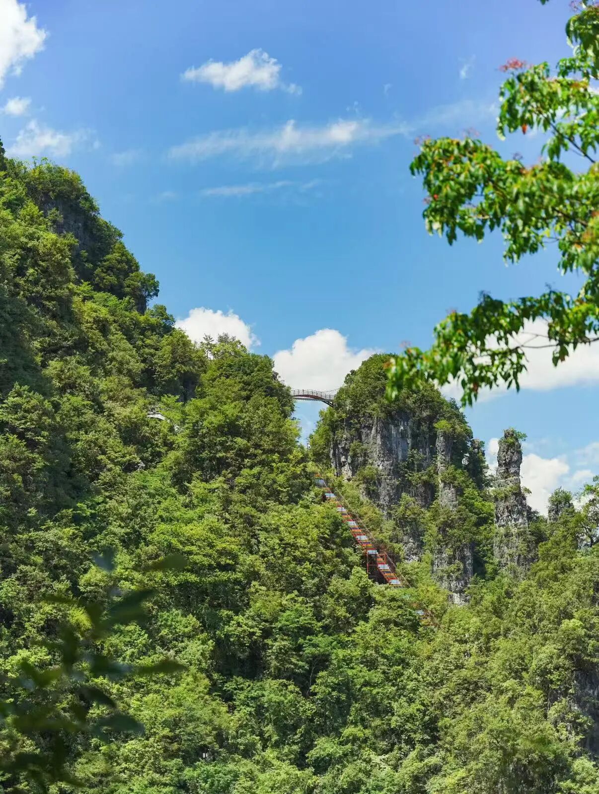 微信圖片_2025-10-02_090511_453