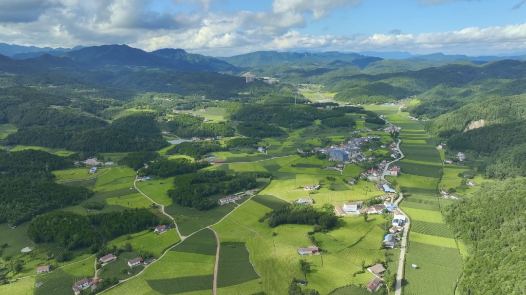 微信圖片_2025-10-17_094714_339