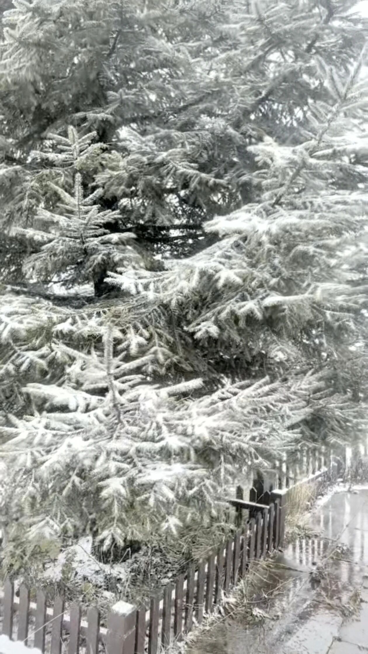 微信圖片_2025-11-17_163151_003