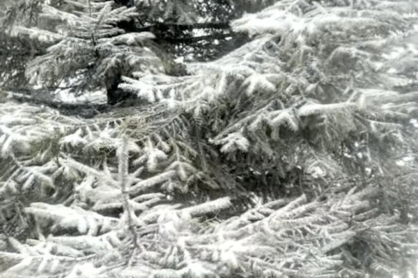 宜昌迎來2025年冬季初雪，未來幾天宜昌天氣如何？