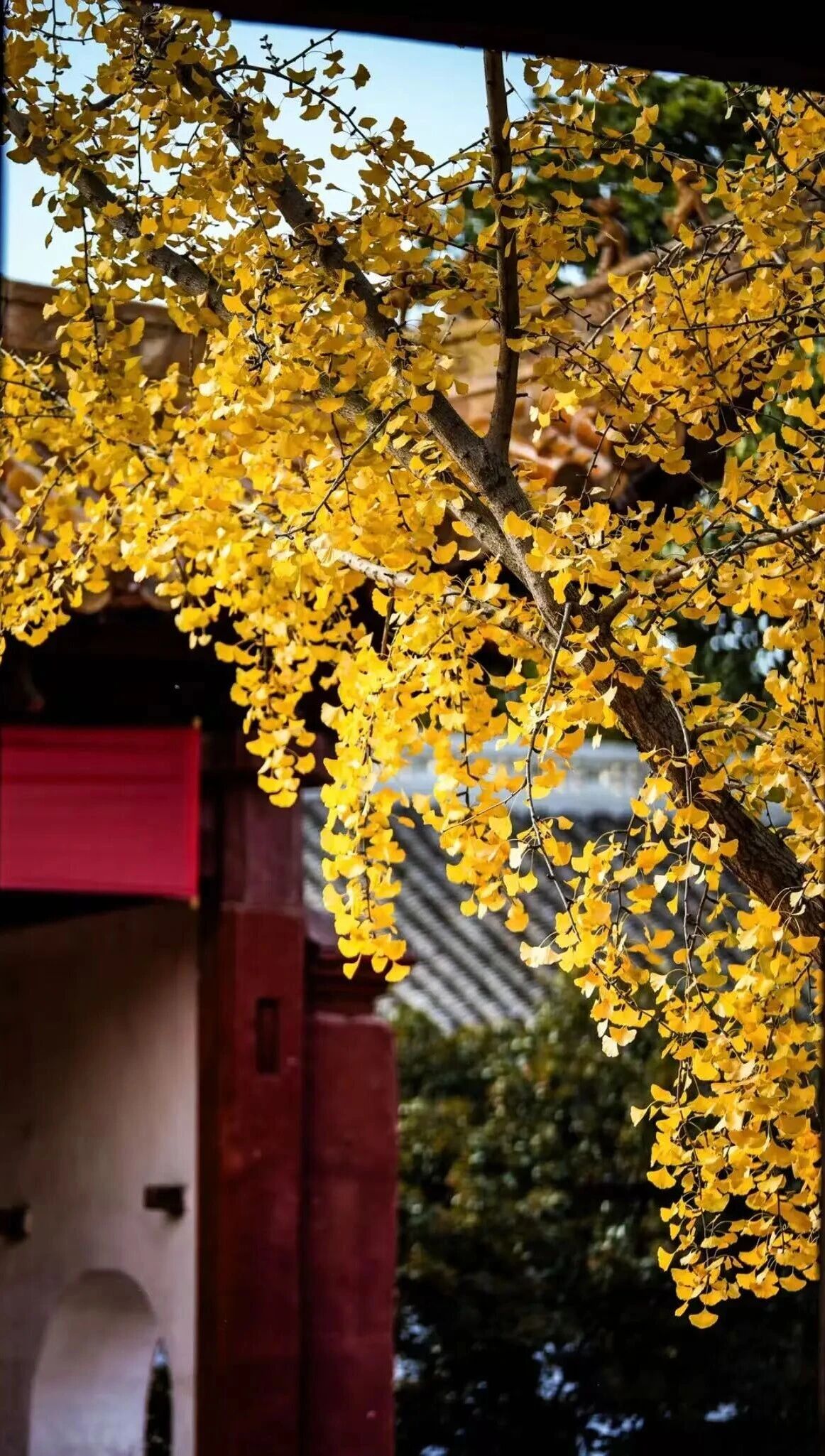 微信圖片_2025-11-28_092603_608