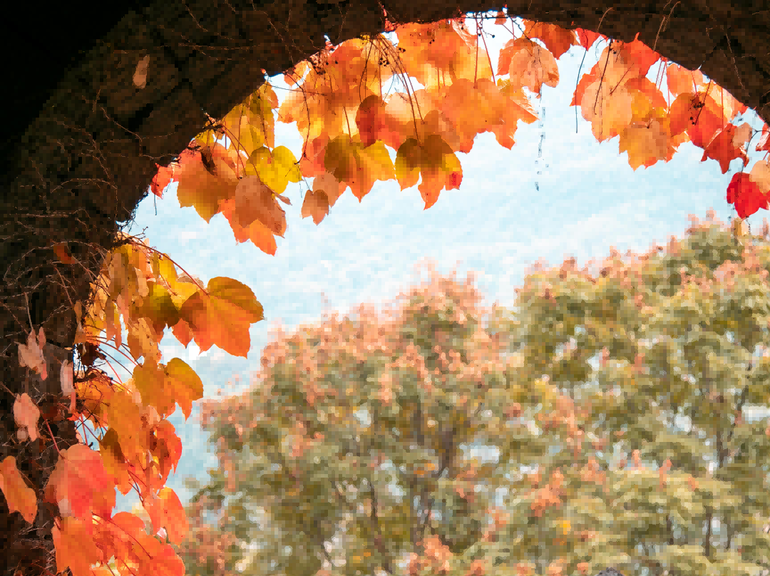 微信圖片_2025-11-28_092840_726(1)