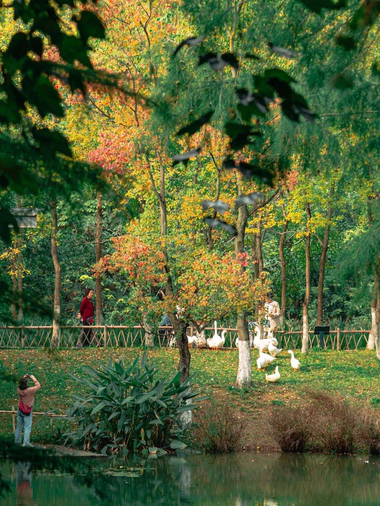 微信圖片_2025-12-03_090921_404