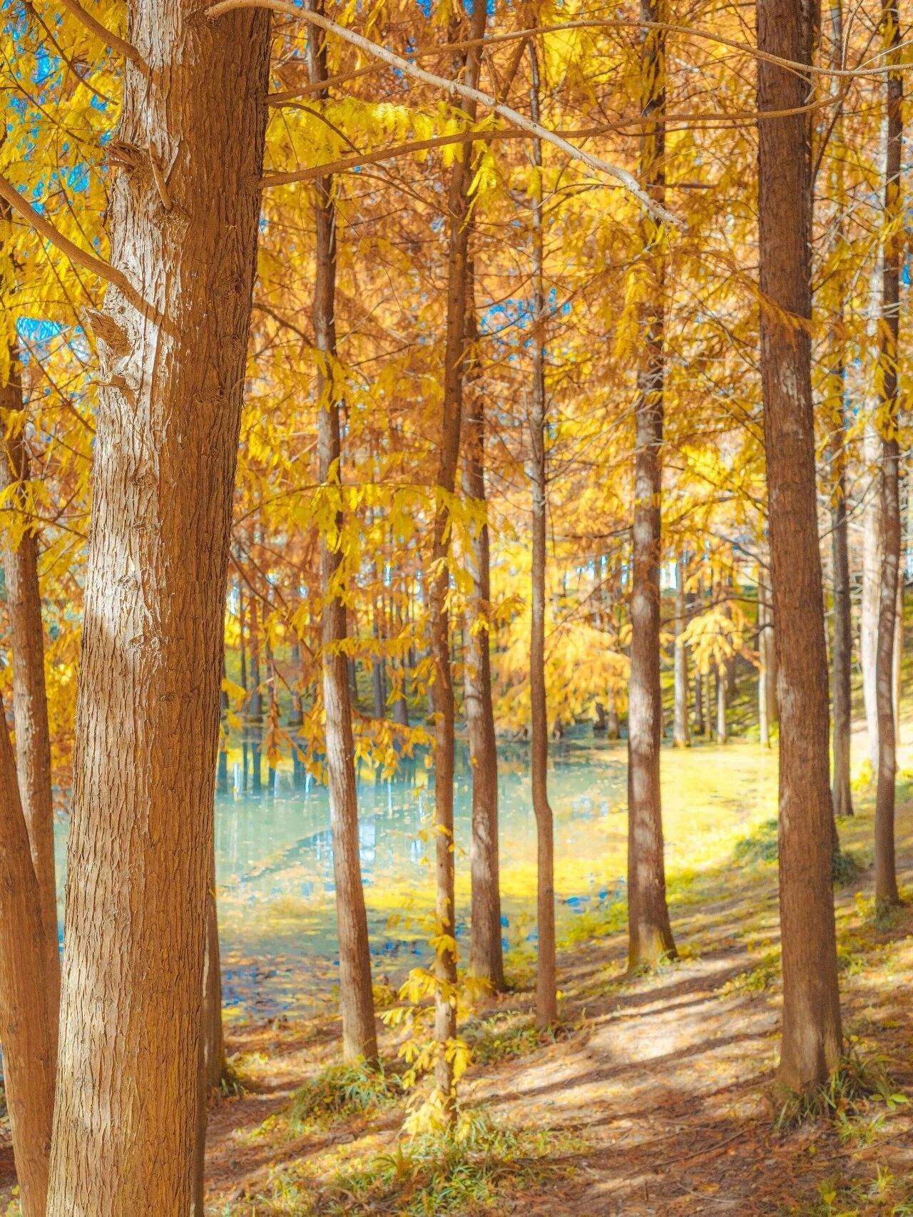 微信圖片_2025-12-03_090926_915