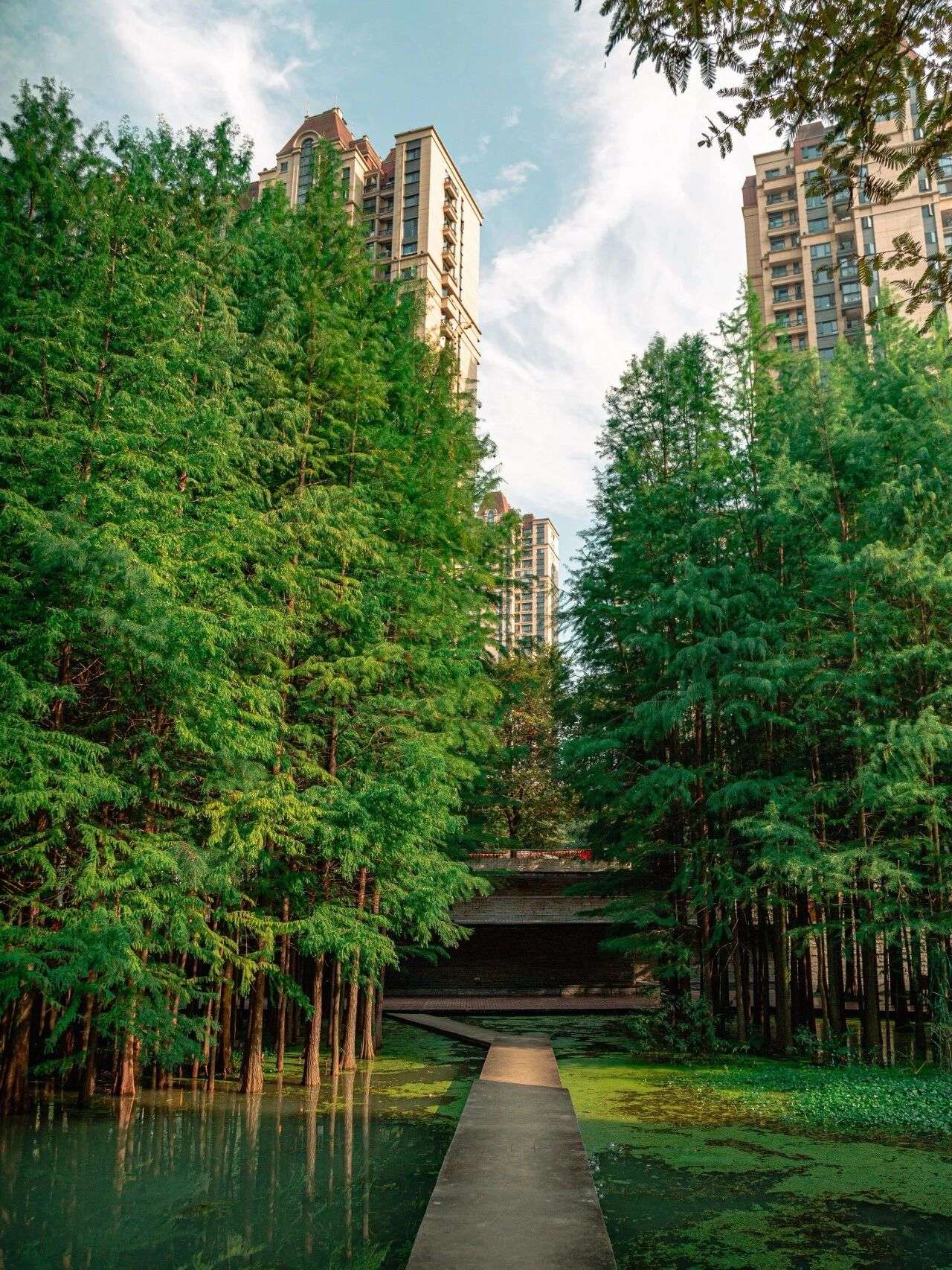 微信圖片_2025-12-03_090935_107