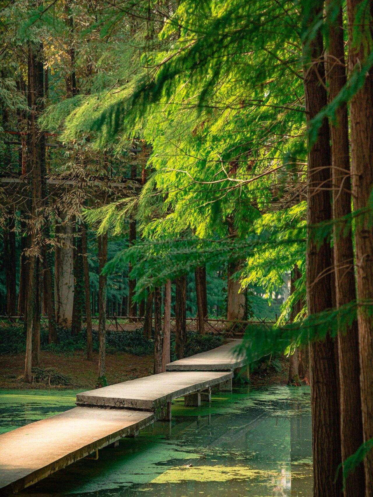 微信圖片_2025-12-03_090945_380