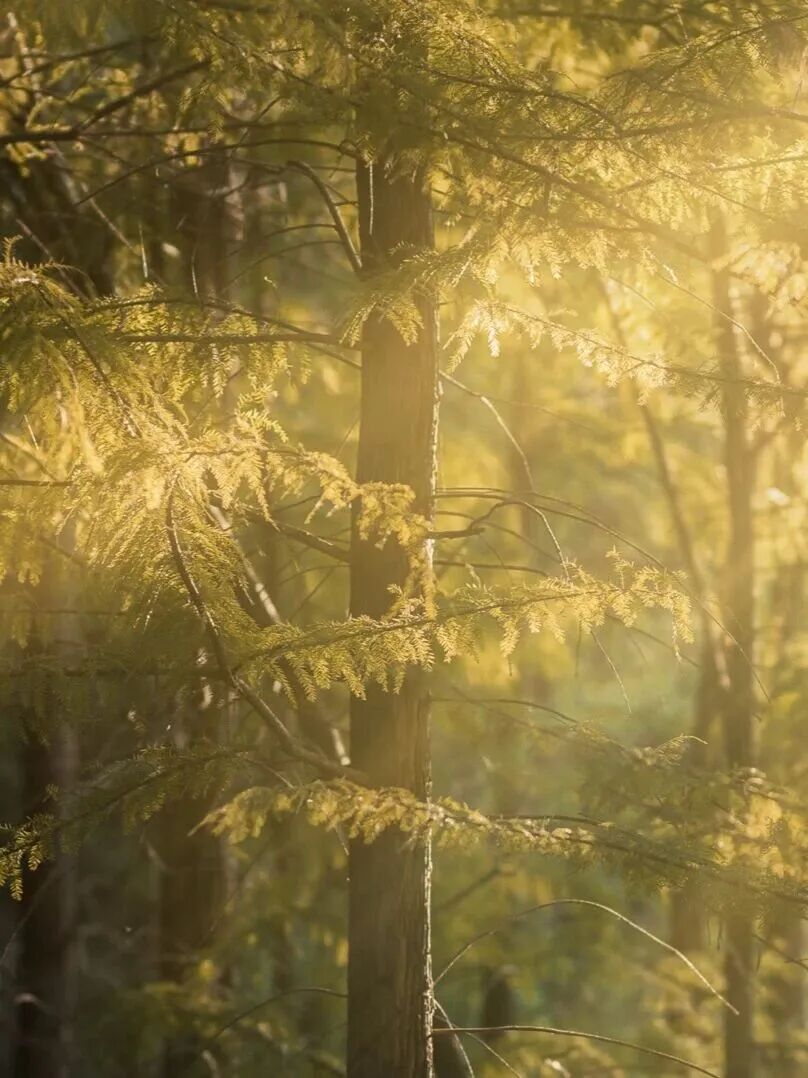 微信圖片_2025-12-03_090953_340